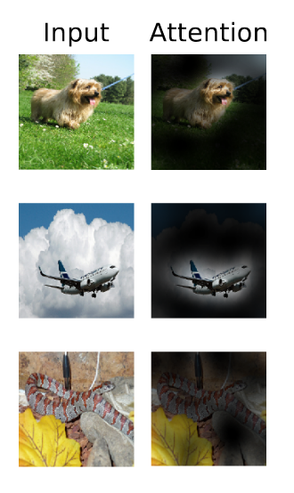 Patch Embedding 流程示意